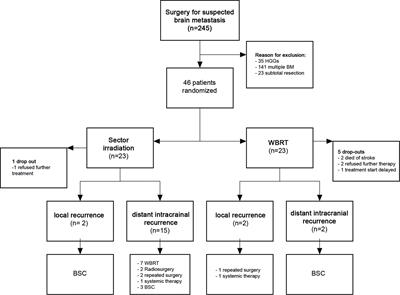 Sector Irradiation vs. Whole Brain Irradiation After Resection of Singular Brain Metastasis—A Prospective Randomized Monocentric Trial